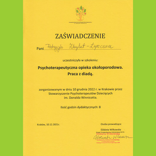 2021; Patrycja Zbylut-Łyszczarz; Psychoterapeutyczna opieka okołoporodowa. Praca z diadą.